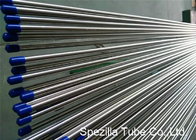 Stainless Steel Welded Tube ASTM A249 , Stainless Steel Instrument Tubing 20FT Length